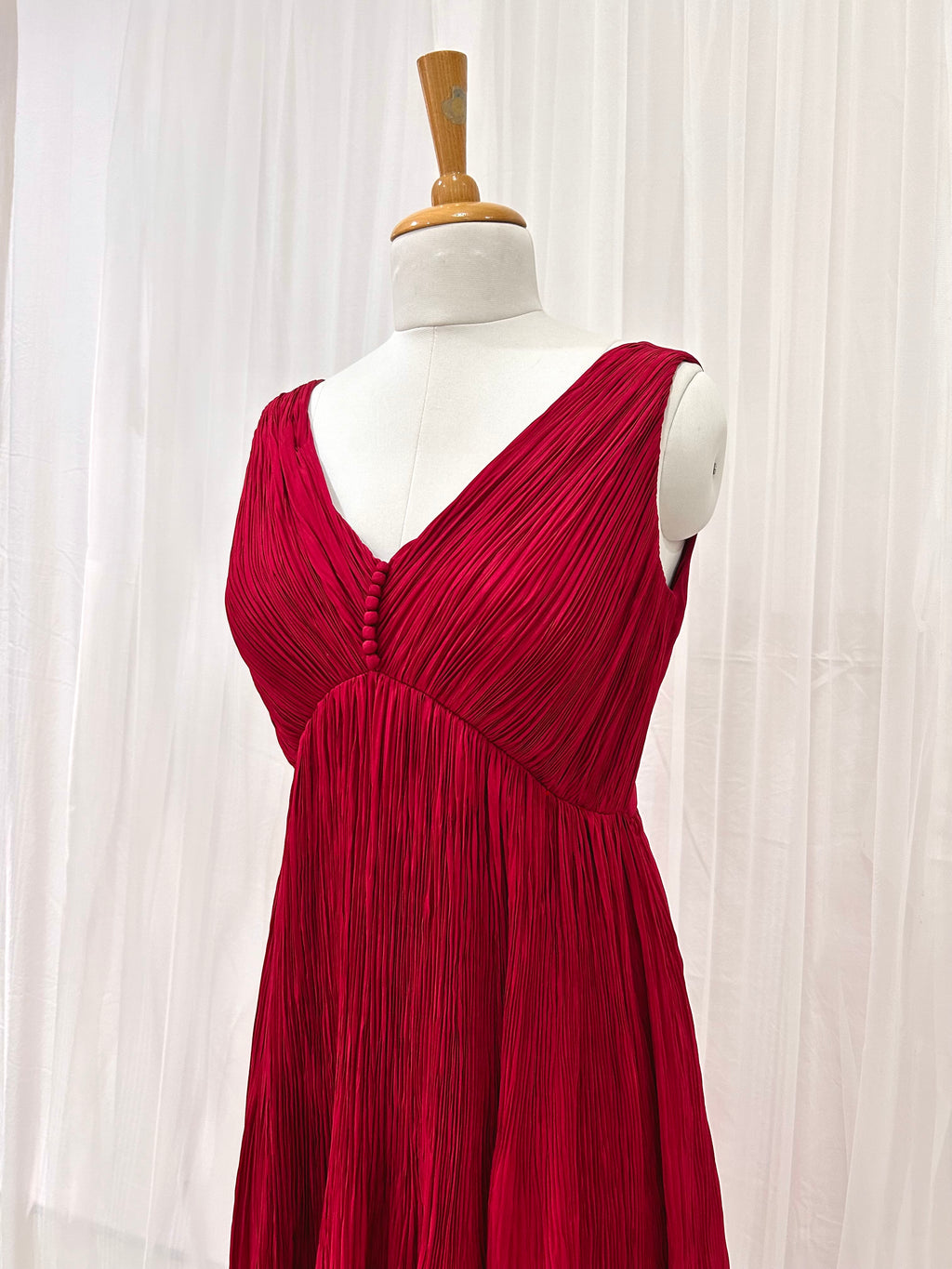 Red Camellia