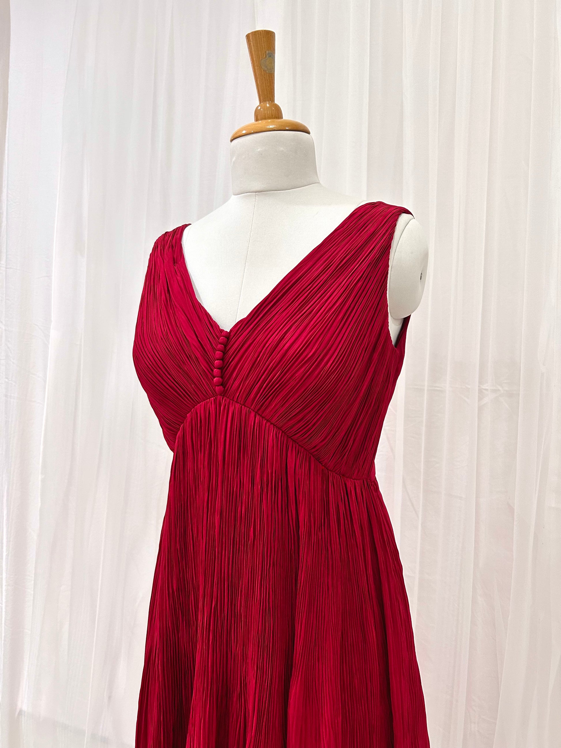 Red Camellia